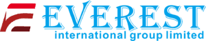 Everest International Group Ltd logo