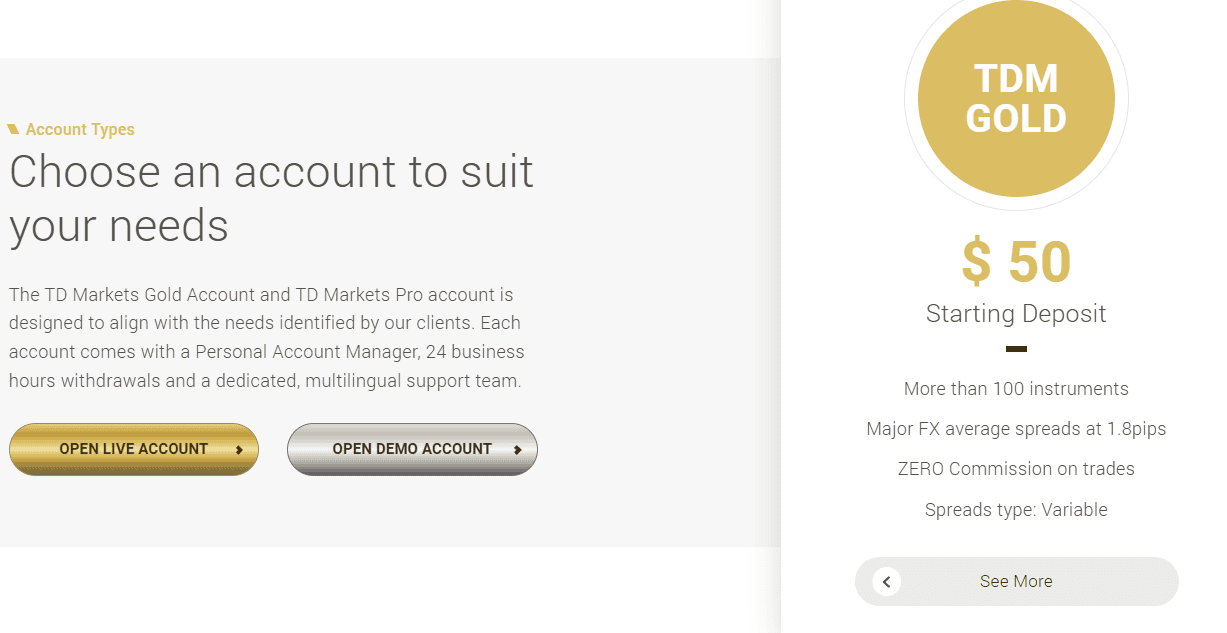 TD Markets Account Types Review