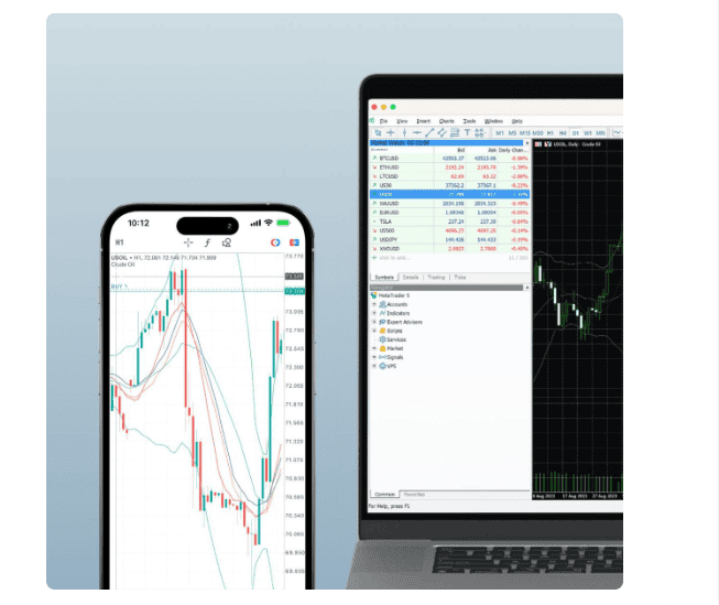 Exness Platform Review