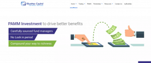 BlueMax Capital - official website