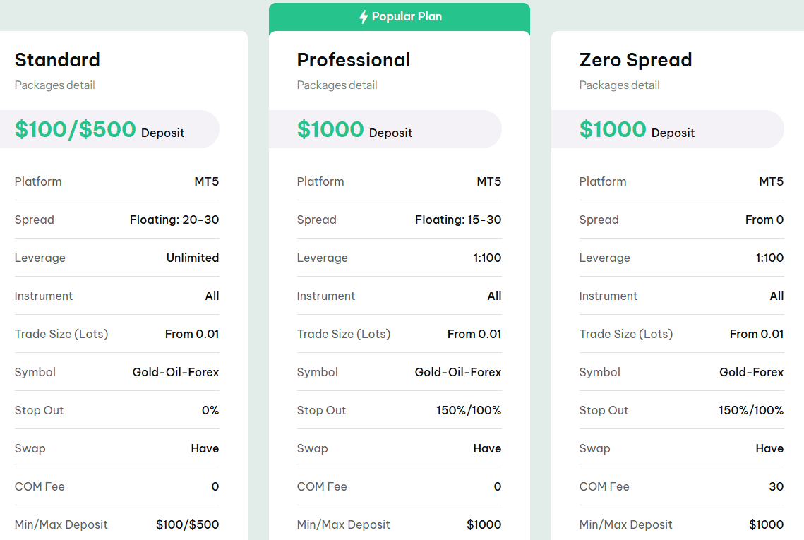 GoldWell Accounts Review