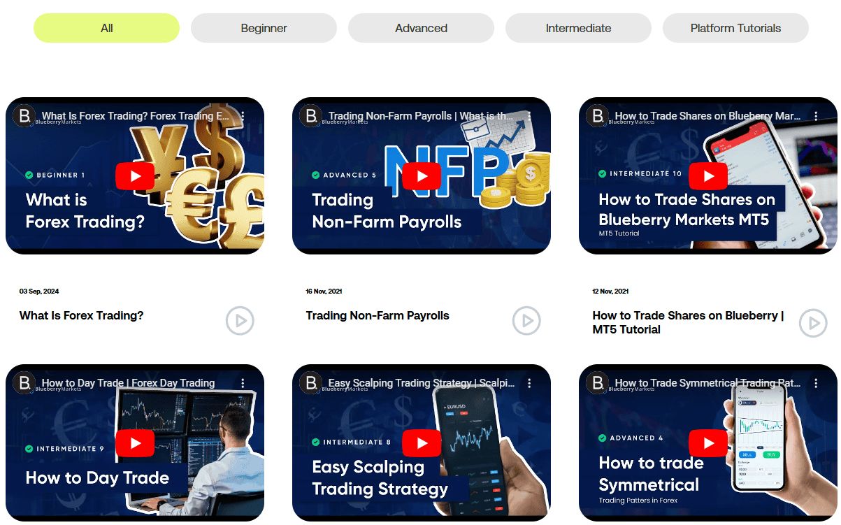 Blueberry Markets Education Review