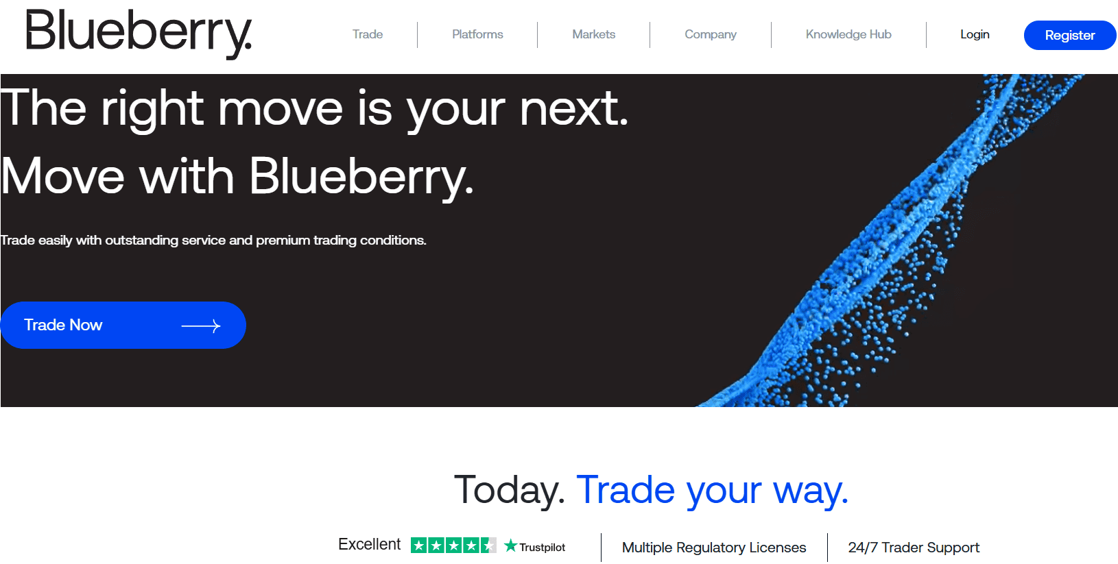 Blueberry Website Review