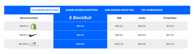 BlackBull Invest Review