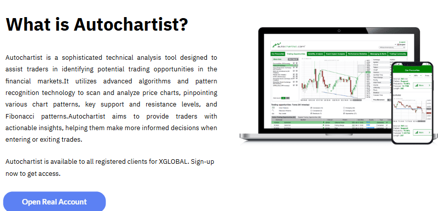 XGLOBAL Additional Features and Tools Review