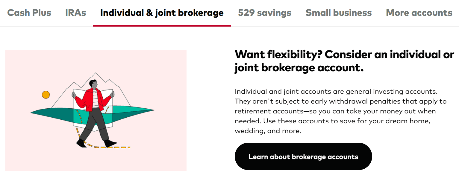 Vanguard Accounts Review