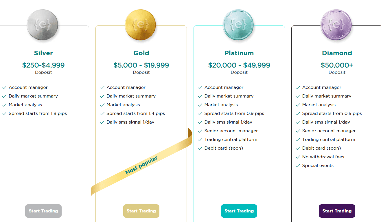 Evest Account Types Review