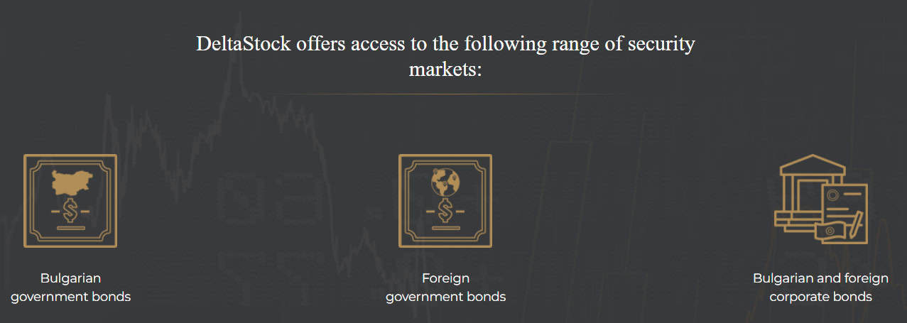 DeltaStock Portfolio Review