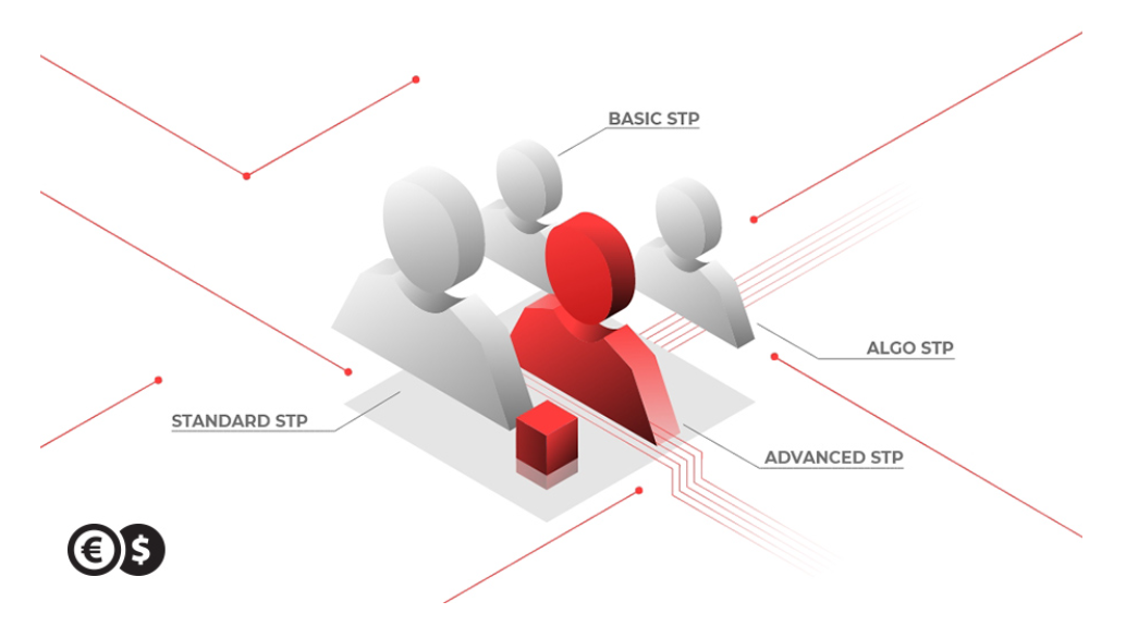 Conotoxia Review Accounts