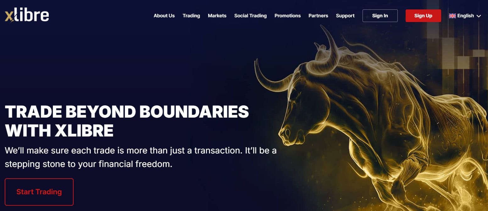 XLibre Website Review